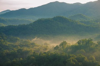 Güzel dağ manzarası sisli rüzgarlı dağ sıraları yeşil Asya arazisi. Yeşil çayır arazisi. Gün doğumunda mavi bulutlu gökyüzü. Kırsal kesimde güneş ışığı cenneti manzarası