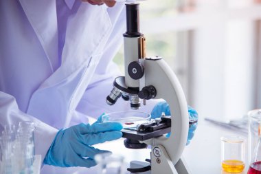 Laboratuvardaki kadın bilim adamı mikroskop tıbbi testine ve biyoloji kimyasına bakıyor. Bilimsel eczane genetik araştırmalarını analiz eden kadın teknisyen laboratuarı. Kimya Tıp Laboratuvarı