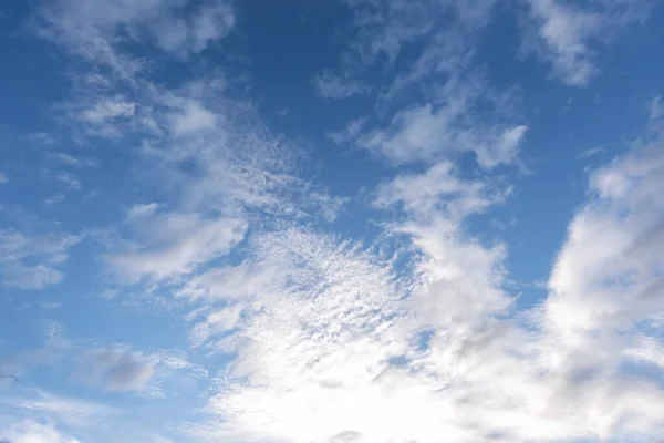 Tropické Léto Modrá Obloha Nadýchaný Bílý Mrak Léto Světle Slunečný — Stock fotografie
