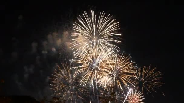 Golden Firework Celebrate Anniversary Happy New Year 2023 4Th July — 图库视频影像