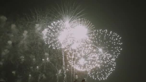 Golden Firework Celebrate Anniversary Happy New Year 2023 4Th July — Stok video