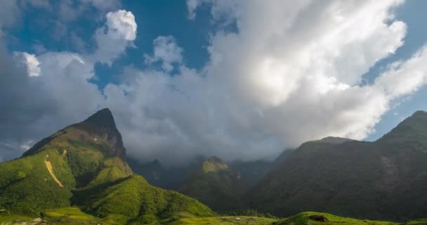 Timelapse Прекрасний Пейзаж Гірського Зеленого Поля Трава Луг Біла Хмара — стокове відео