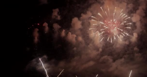 Golden Firework Celebrate Anniversary Independence Day Night Time Celebrate National — Video Stock