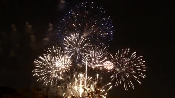 Golden Firework Celebrate Anniversary Independence Day Night Time Celebrate National — Vídeo de stock