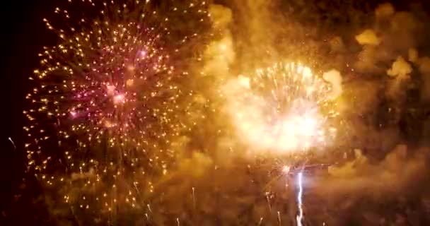 Golden Firework Celebrate Anniversary Independence Day Night Time Celebrate National — Wideo stockowe