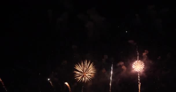 Golden Firework Celebrate Anniversary Independence Day Night Time Celebrate National — Stockvideo
