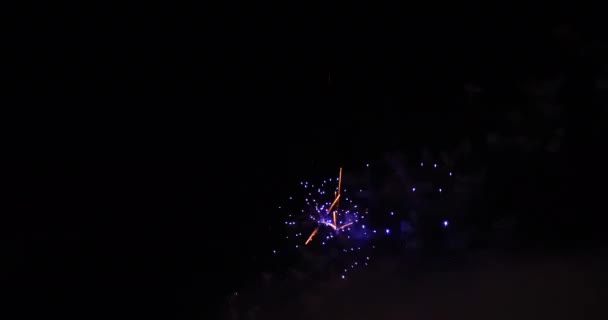 Golden Firework Celebrate Anniversary Independence Day Night Time Celebrate National — Stok Video
