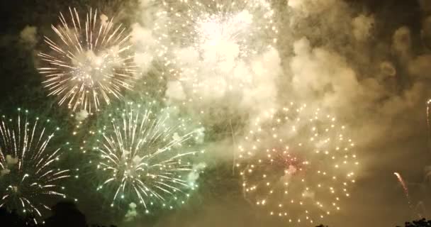 Green Firework Celebrate Anniversary Happy New Year 2023 4Th July — стокове відео