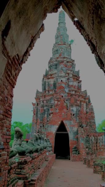 Vertikální Video Chrámu Wat Chaiwatthanaram Ayutthaya Thajsko Objevování Chrámů Thajsku — Stock video