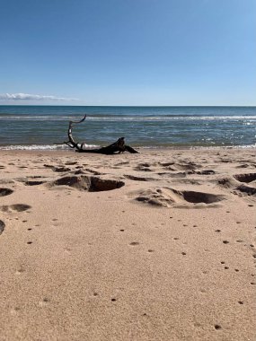 Door County 'de sonbahar, WI