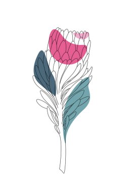 Vektör minimalist botanik çizimi. Beyaz arkaplanda farklı renklerde soyut şekillere sahip protea dalının sanatsal çizimi. Çizgi sanatı