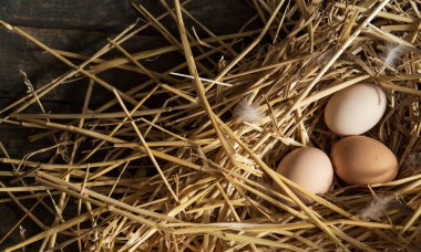 Saman yuvasında tavuk yumurtası. Konsept: Pazar, yumurta, yiyecek