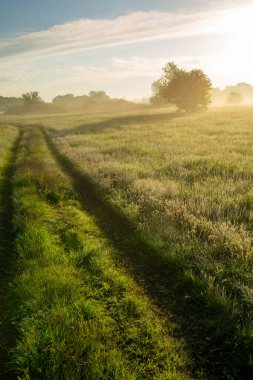 Şafak vaktine ve uzaktaki yola bakıyorum. Yeşil çimen, sis ve çiy