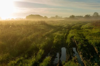 Sabahın erken saatlerinde kırsal bir yolda çamur ve su birikintisi. Yaz havası, yeşil çimenler ve sis
