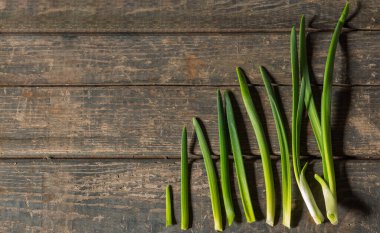 Tahta bir masanın üzerindeki yeşil soğanlar piramitle kaplıydı. Konsept: pazar, yiyecek, sebze, sebze