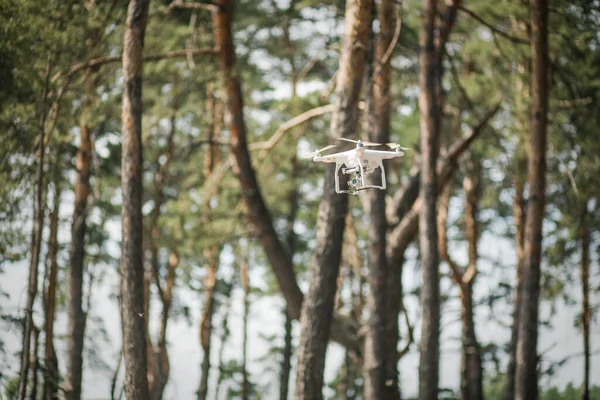 White Quadrocopter Flies Backdrop Green Pine Forest — Fotografia de Stock