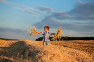 A little boy plays in a wheat field against the background of a blue sky and moon