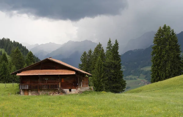 Cabana Madeira Encosta Das Montanhas Cobertas Floresta Nos Alpes Suíços — Fotografia de Stock