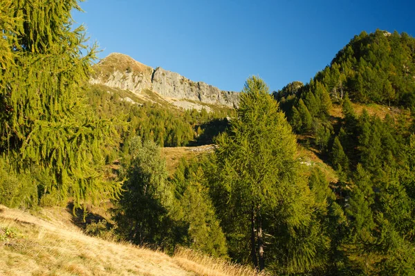 Beautiful View Mountains Val Grande Italy — Fotografia de Stock