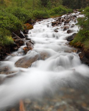 Fransız Alplerinde kayaların üzerinden akan orman deresi