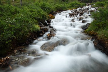Fransız Alplerinde kayaların üzerinden akan orman deresi