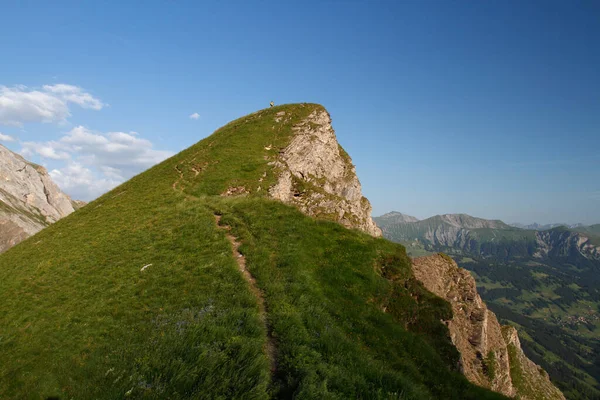 Female Hiker Far Away Top Mountain Switzerland —  Fotos de Stock