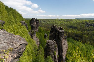 Almanya 'nın Saksonya bölgesindeki Kum Taşı kayaları