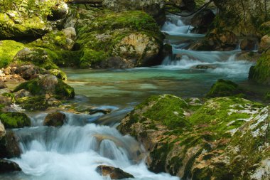 Slovenya 'daki Triglav Ulusal Parkı içindeki bir dağ deresinin güzel manzarası