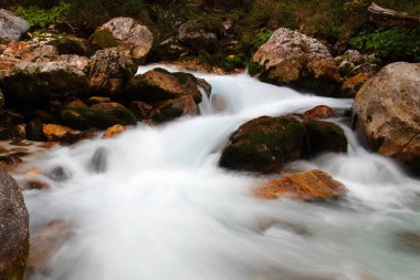 Beautiful view of a mountain stream inside the Triglav National Park, Slovenia