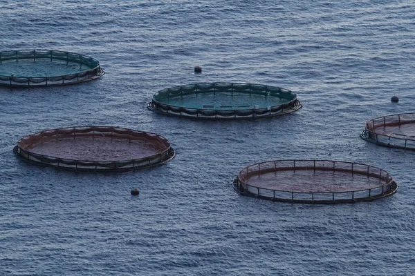 Fermes piscicoles en haute mer pour la reproduction de poissons et d'autres animaux marins, près de l'île de Madère dans l'océan Atlantique — Photo