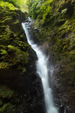 Portekiz, Madeira Adası 'ndaki Şelale