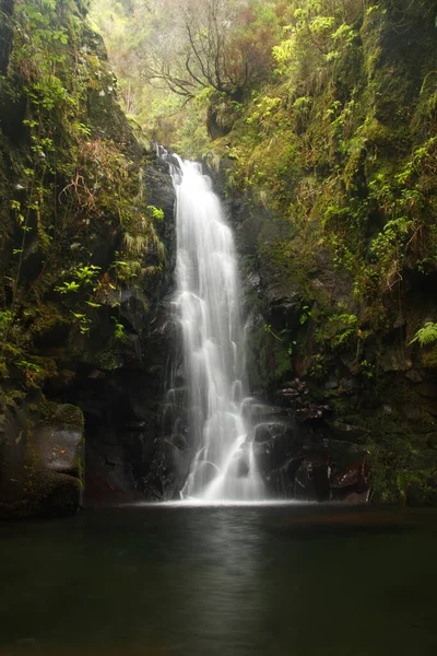Cascada Bosque Isla Madeira Portugal — Foto de Stock