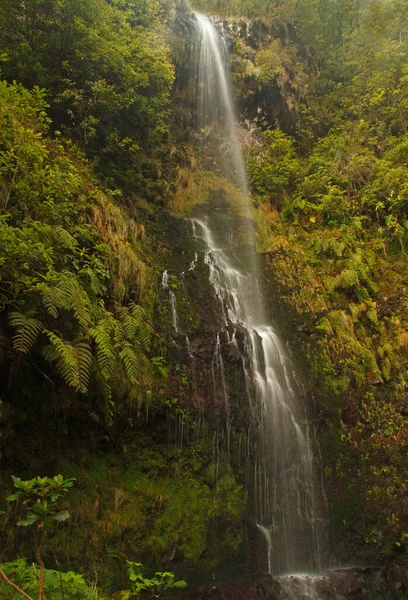 Cascada Bosque Isla Madeira Portugal — Foto de Stock