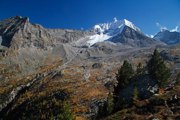 夏の間の高山氷河 イタリアのRiva Turesからの氷河の眺め ゆっくりとアルプスの氷河を後退 スイスの高山風景 — ストック写真