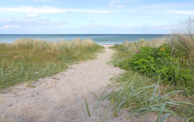 Baltık Denizi, Marielyst, Danimarka sahillerindeki kum tepeleri boyunca uzanan yol