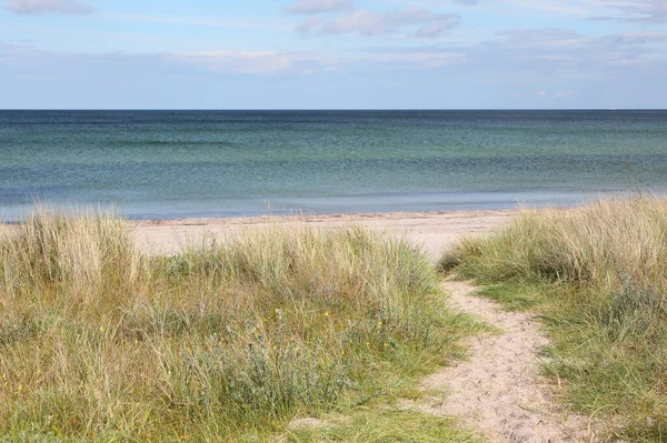 Path Sand Dunes Coast Baltic Sea Marielyst Denmark — Stock Photo, Image