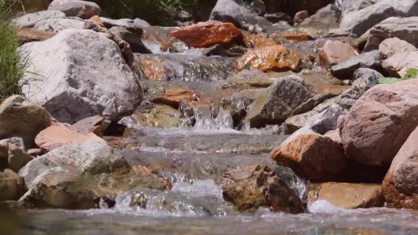Temiz Şeffaf Küçük Nehir Taşması Video — Stok video