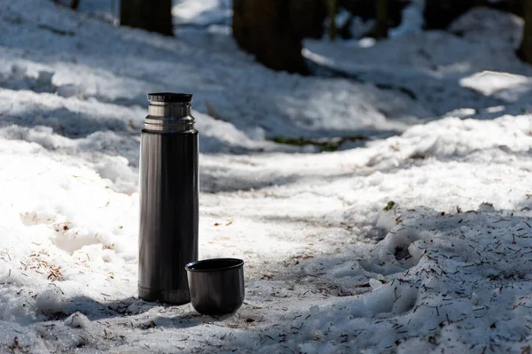 Baharın erken saatlerinde güneşli bir günde, ormanın karında termos şişesi ve bardak.