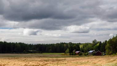 Finlandiya Turku Takımadaları 'ndan sonbaharda kırsal görünüm