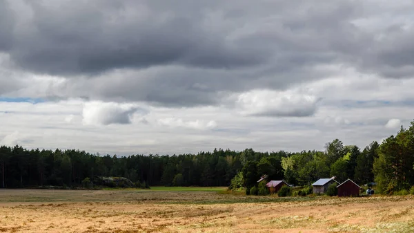 Finlandiya Turku Takımadaları 'ndan sonbaharda kırsal görünüm