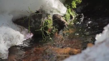 İlkbaharda eriyen karın altından çıkan derenin yakın çekimi.