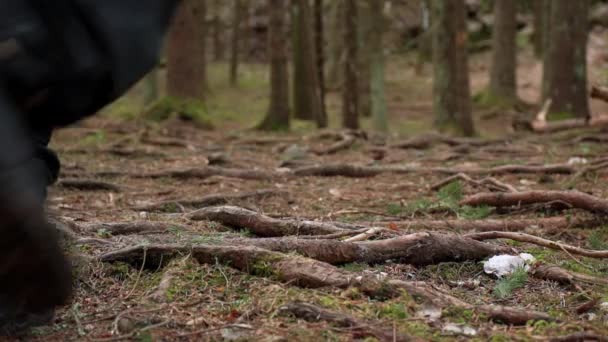 Nízký Úhel Záběr Člověka Turistika Borovém Lese Finsku Vojenským Stylem — Stock video