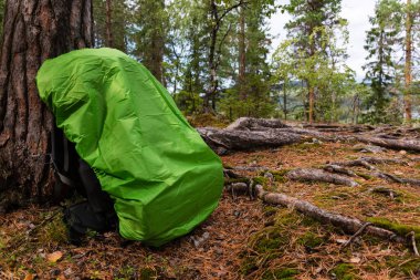 Ormanda çam ağacına yaslanmış yeşil yağmur örtülü sırt çantasıyla yürüyüş yapmak. Finlandiya 'daki Koli Ulusal Parkı.