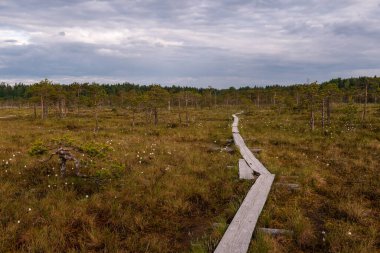 Linnaistensuo, the swamp area in Lahti, Finland on a summer morning with wooden duckboard pathway