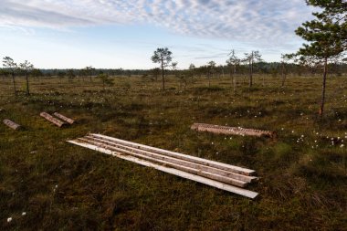Bataklıktaki ahşap tahtalar, Linnaistensuo, Lahti, Finlandiya 'daki ördek tahtaları için yapı malzemeleri.