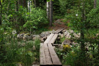 Ormandaki derenin karşısındaki ahşap yol. Sorsakolu, Finlandiya 'nın Hameenlinna kentindeki Evo yürüyüş alanı