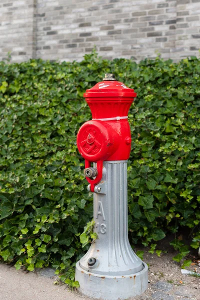 Fire Hydrant Red Top Side Road Green Bushes Background — Stock fotografie