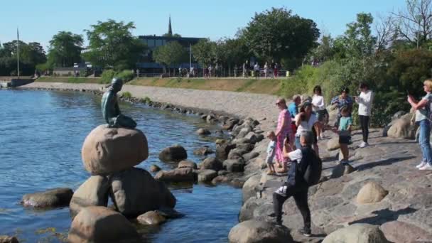 Copenhagen Denmark August 2022 Tourists Taking Photos Little Mermaid Den — Wideo stockowe