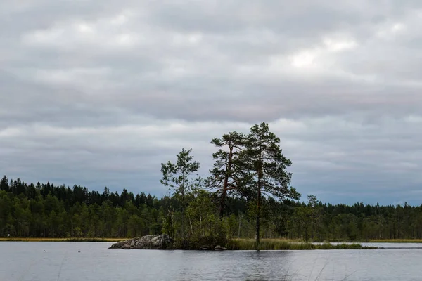 Liten Sjö Med Kvällshimlen Bakgrunden Nationalparken Salamajarvi Finland — Stockfoto
