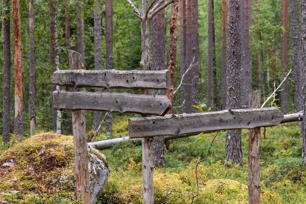 Empty Old Wooden Signpost Forest Pine Trees Background — Stock Photo, Image